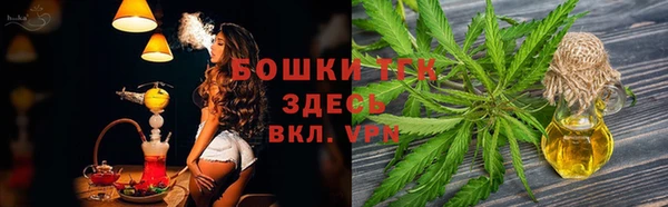 тгк Арсеньев