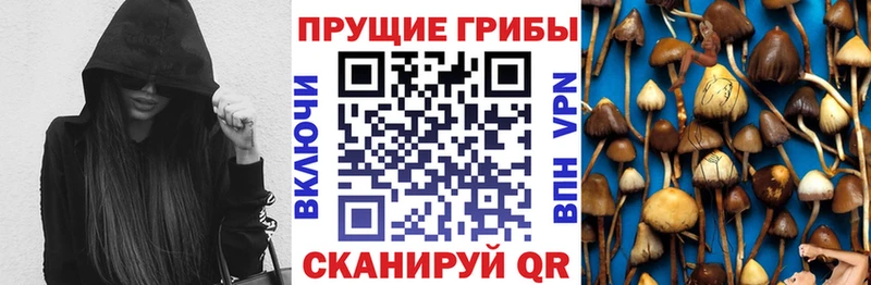 Псилоцибиновые грибы прущие грибы  Судак 